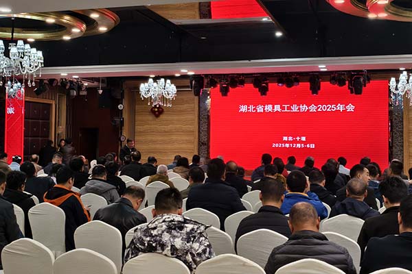 湖北模具工业协会年会 湖北模具工业协会年会