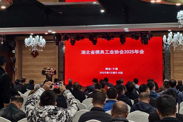湖北模具工业协会年会 湖北模具工业协会年会